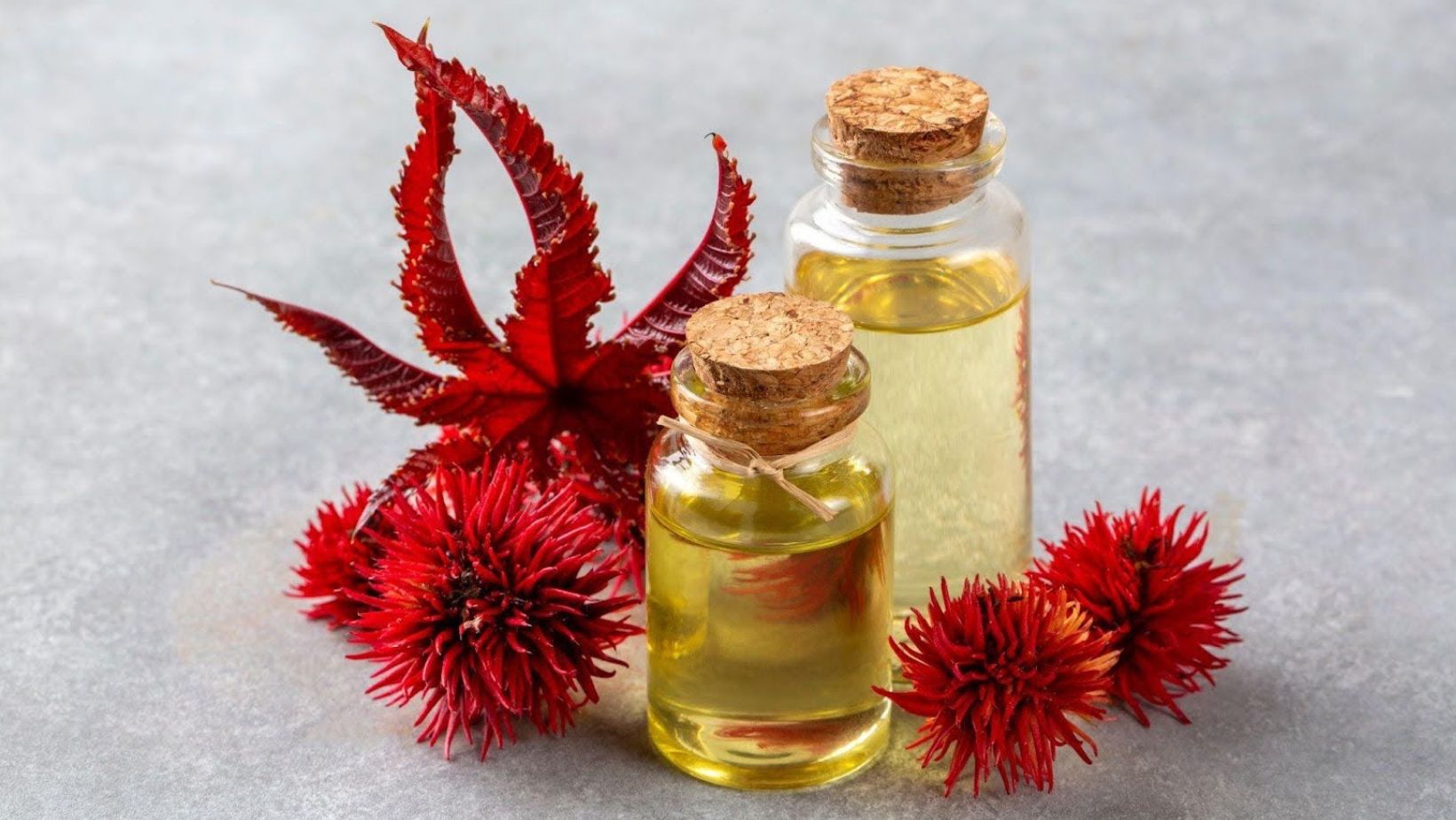 A bottle of castor oil placed alongside castor fruits, seeds, and a leaf from the Ricinus Communis plant.