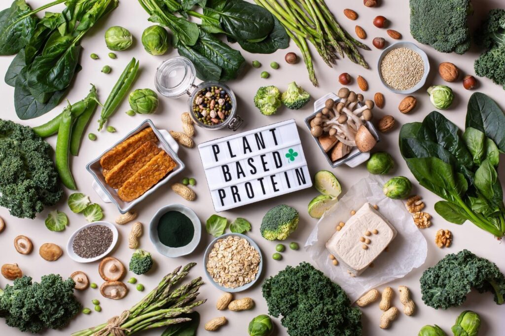 plant-based protein, high protein vegan meals, easy plant protein recipes, vegan protein sources, plant-based protein ideas, plant protein smoothies, vegetarian protein foods, best plant protein foods, increase plant protein intake